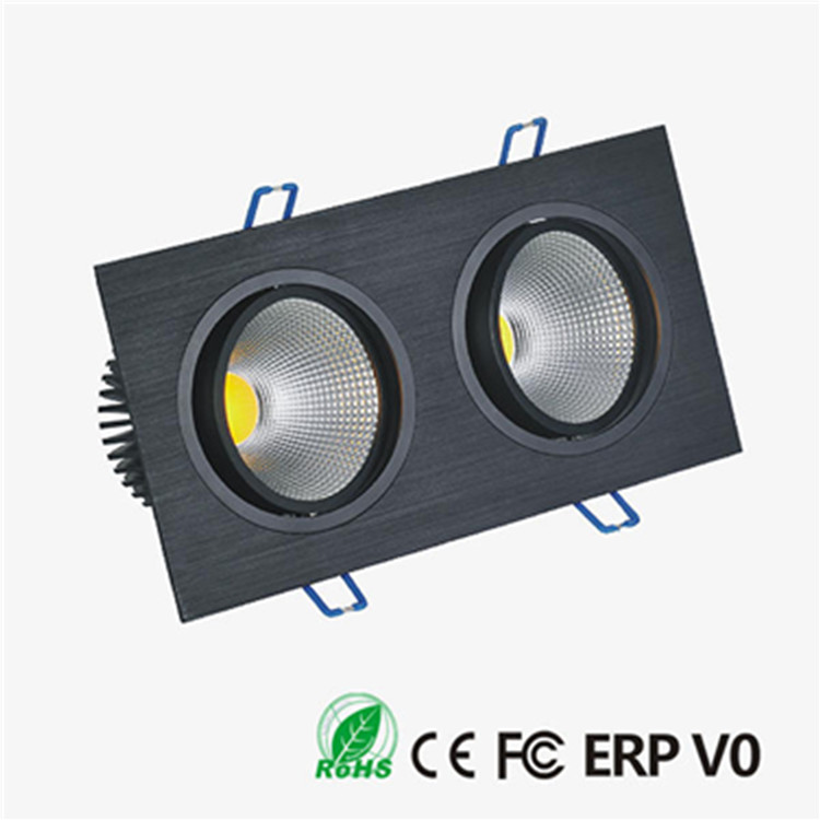 2X10W Aluminum White Round Double-Head COB LED Downlight