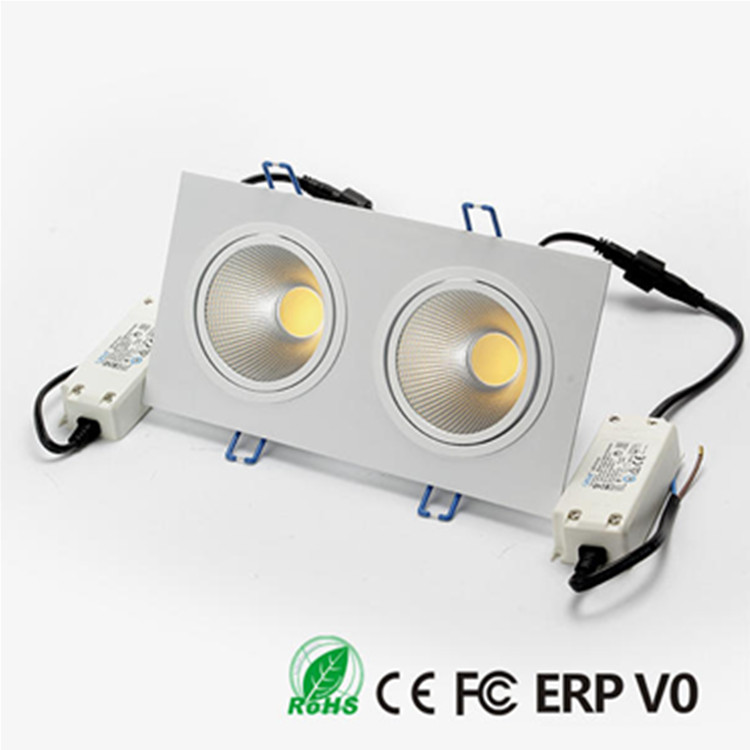2X6W Rectangular Double Head COB Aluminum COB LED Recessed Downlight