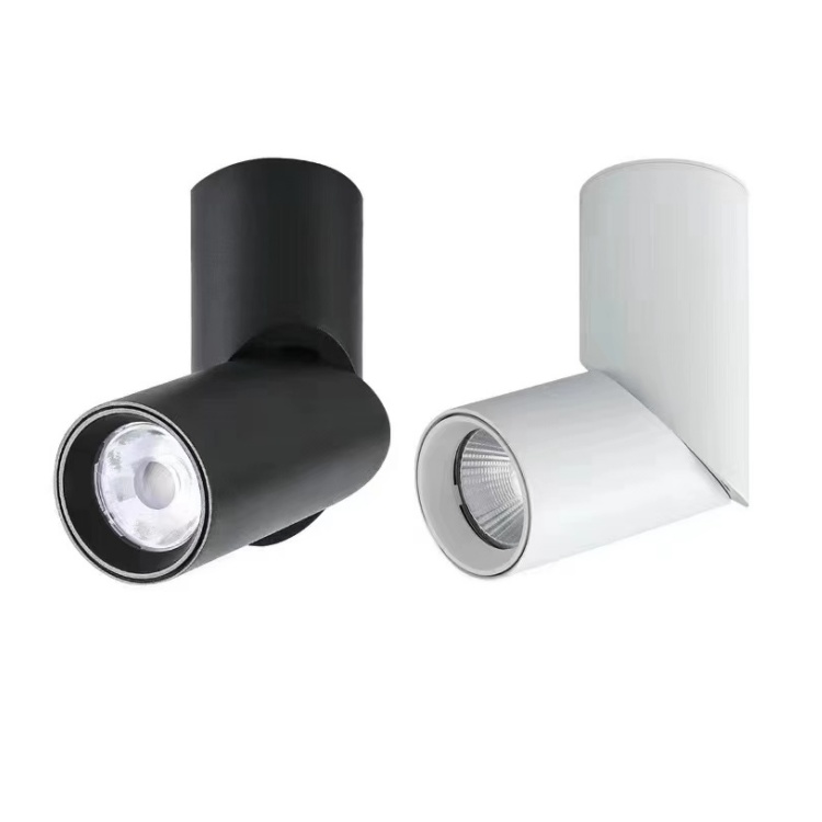 12W 220V LED Ceiling Light - Modern Surface Mounted Panel Downlight, 6000-6500K Cool White, Black Finish, 1-Light