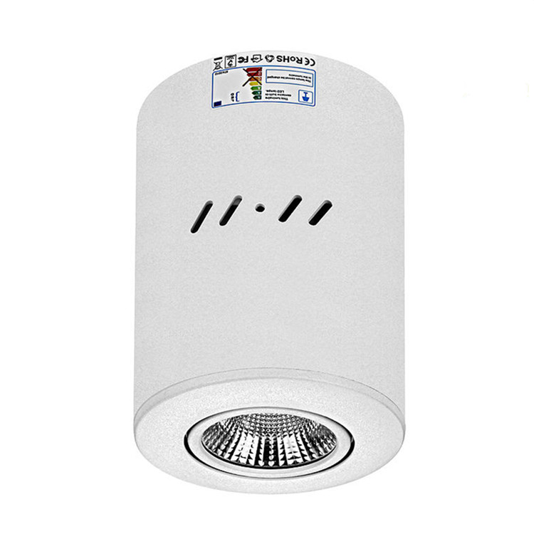Aluminum White Adjustable Round led Celing Light