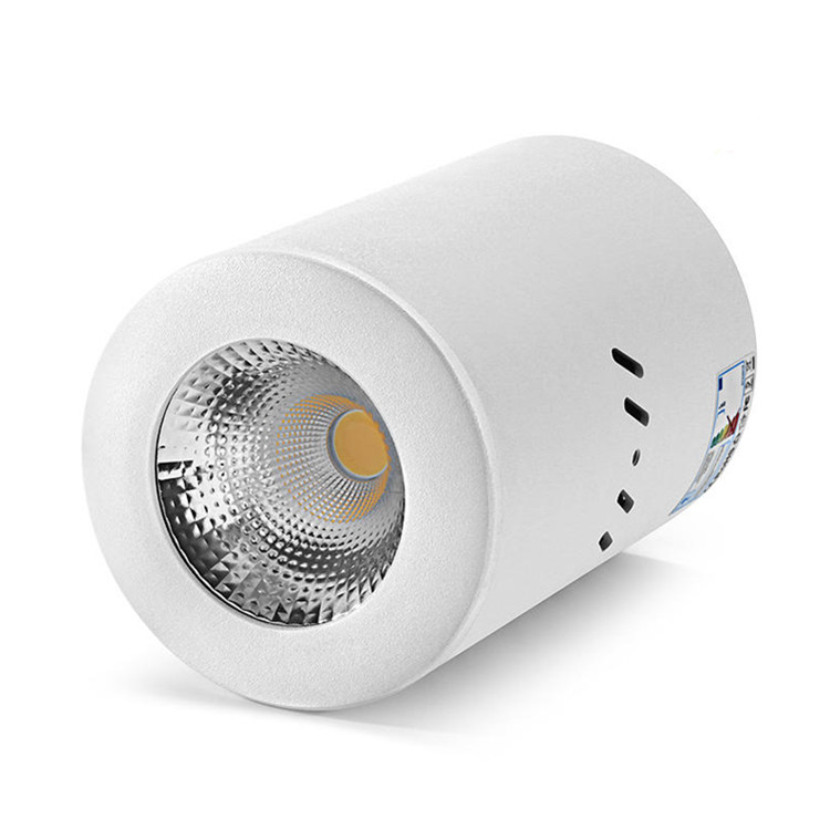 Fixed surface mount COB led downlight 12-40W