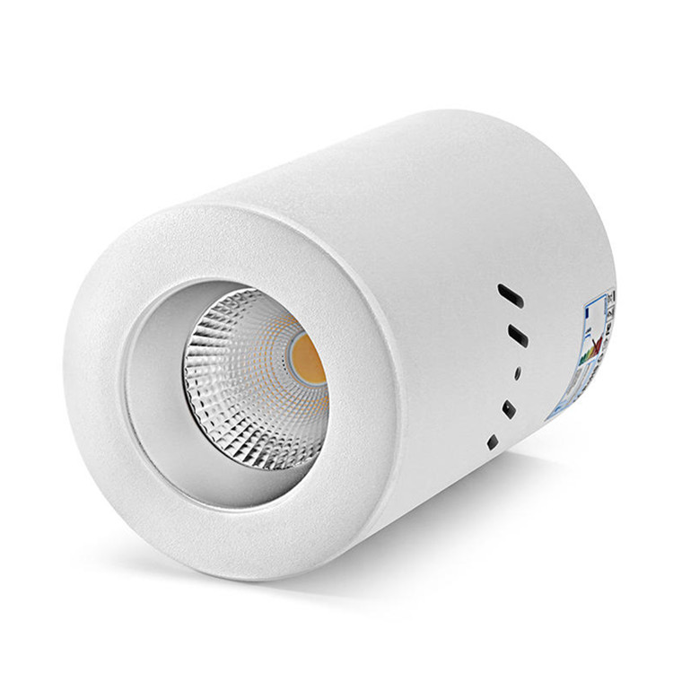 Low SDCM High CRI LED COB Surface mounted Ceiling light 12W-40W
