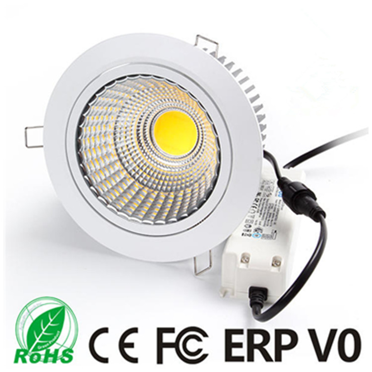ROHS 30W 180 Degree rotatable COB LED Downlight for Supermarket