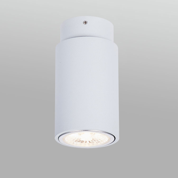 Round high quality GU10 surface downlight led dim